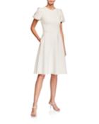 Puff Sleeve Fit-&-flare Dress