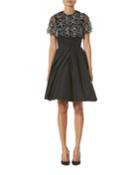Embroidered Draped Capelet Dress