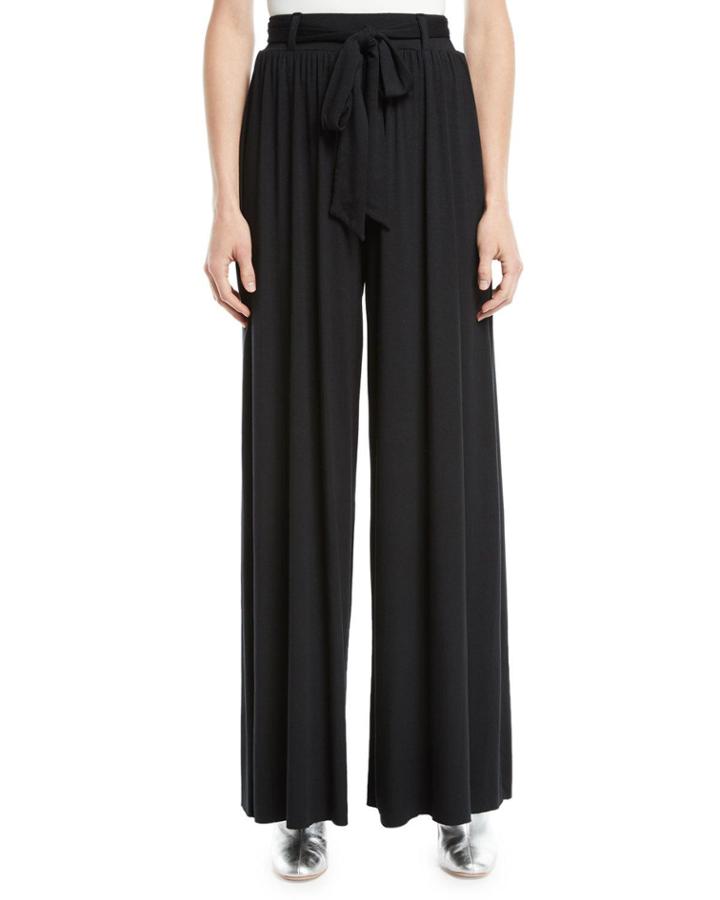 Gibson Wide-leg Drama Pants
