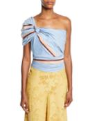 Bahanias One-shoulder Maldives-stripe Print Fitted Ruched Top