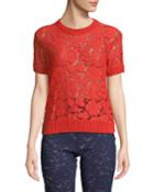 Lace Short-sleeve