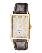Men's Avenue Of Americas Automatic Watch W/ 18k Gold, Gold/brown