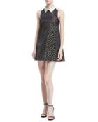 Peaked-collar A-line