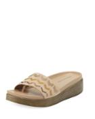 Fiji Suede