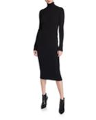 Long Long-sleeve Turtleneck Dress