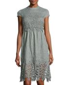 Short-sleeve Open-back Lace Dress,