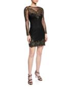 Long-sleeve Embroidered-mesh Illusion Dress