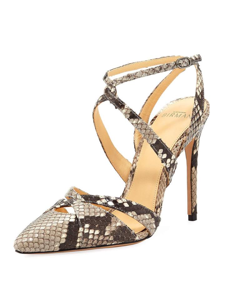 Azalea Python