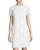 Floral-embellished Mesh