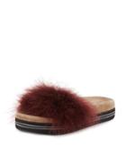 Marabou Platform