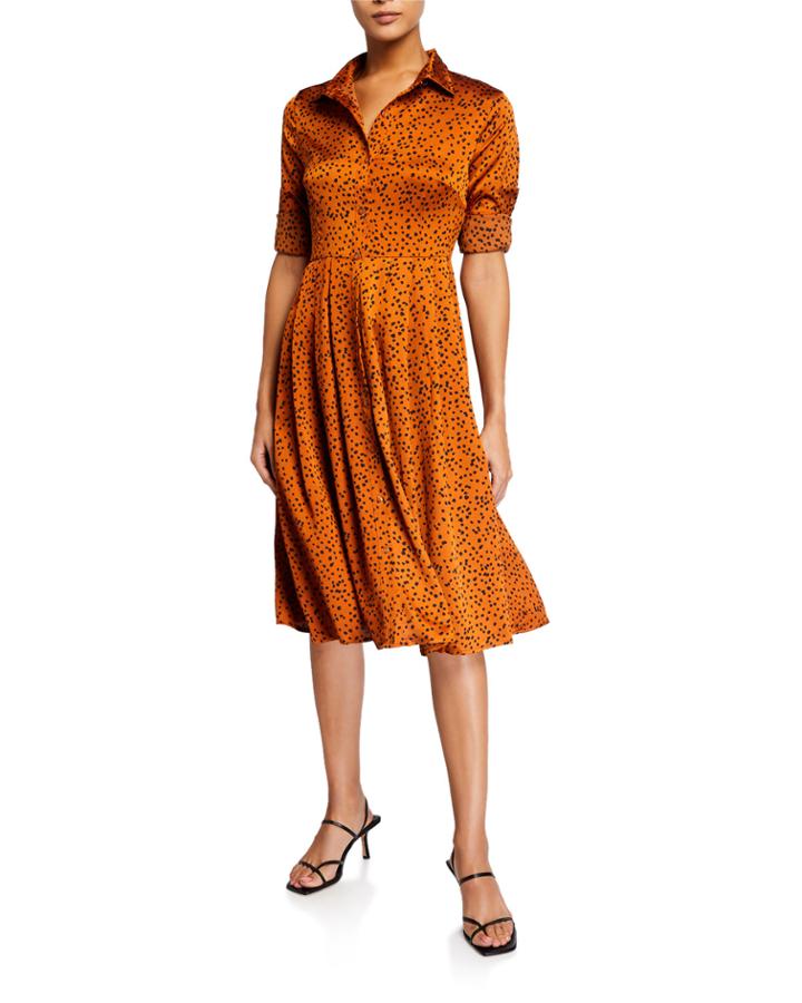 Printed Button-down Pleated A-line Dress