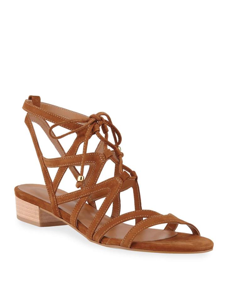 Taylor Suede Gladiator