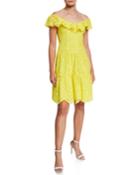 Off-the-shoulder Tiered Eyelet Dress