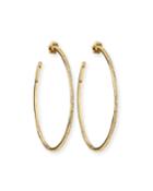 Large Hoop Earrings W/ Pave