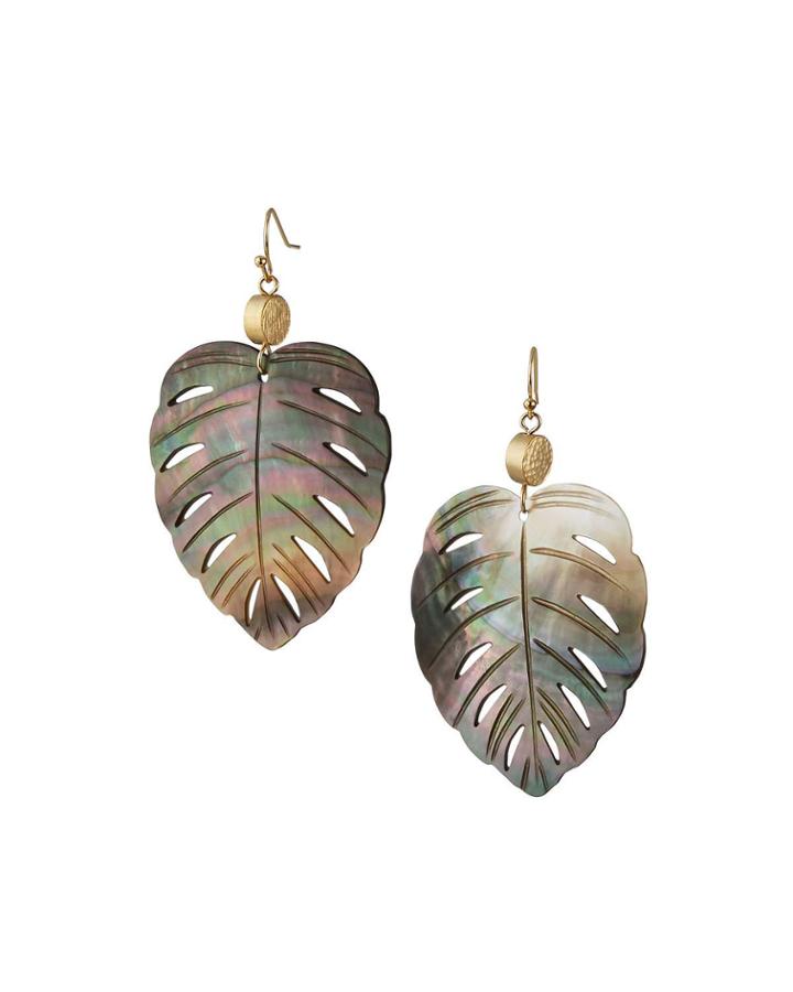 Abalone Shell
