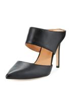 Isabella Leather Pointed-toe