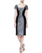 Short-sleeve Broadtail Jacquard Dress, Gray/black