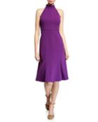 Crepe Fit-and-flare Halter Dress