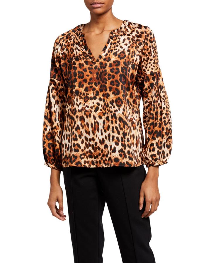 Leopard-print V-neck Long-sleeve Blouse