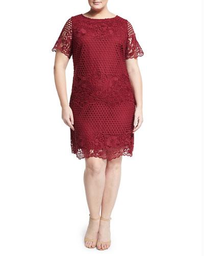 Short-sleeve Lace Shift Dress, Wine,