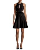 Megan Sleeveless Fit & Flare Dress