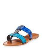 Carmina Crocodile Slide