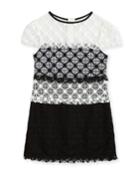 Gabrielle Short-sleeve Colorblock Lace Dress,