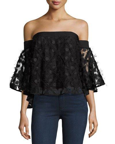 Semisheer Embroidered Off-the-shoulder Top, Black
