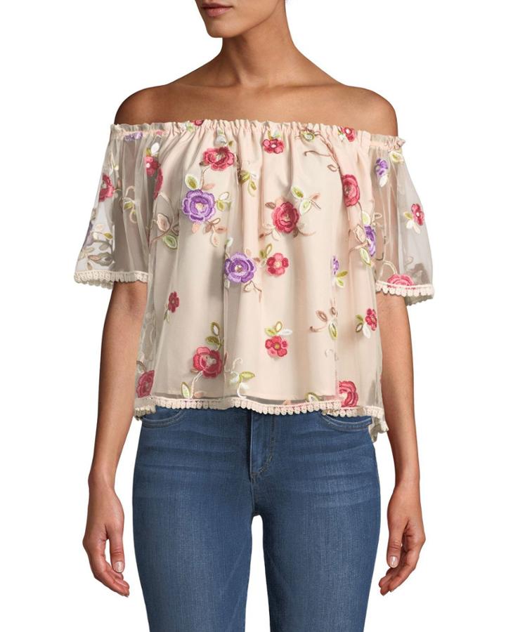 Stassi Off-the-shoulder Embroidered