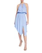 Herley Silk Asymmetric Halter Dress