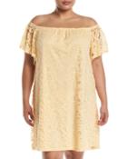 Off-the-shoulder Scalloped Lace Dress,