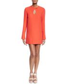 Long-sleeve Cady Mini Dress,
