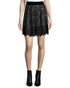 Lace Overlay