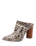 Antonia Snakeskin