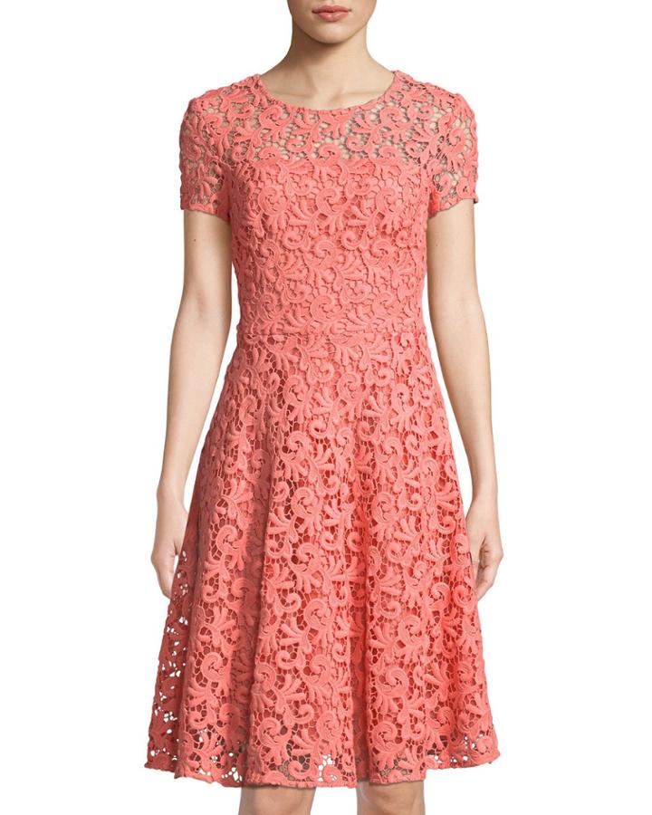 Paisley Guipure Lace Jewel-neck Dress