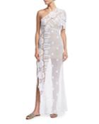 Elora Sheer Lace Maxi Dress Coverup