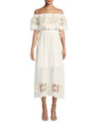 Tatiana Embroidered Off-the-shoulder Dress