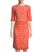 Half-sleeve Lace Sheath Dress, Coral