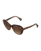 Modified Cat-eye Acetate Sunglasses, Champagne Havana