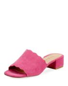 Howie Low-heel Suede Slide Sandals, Fuchsia