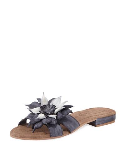 Leather Star Flower