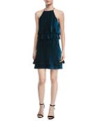 Cosgrove Halter Velvet Cocktail Dress