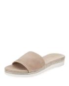 Knight Suede Metallic
