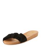 Carmen Suede