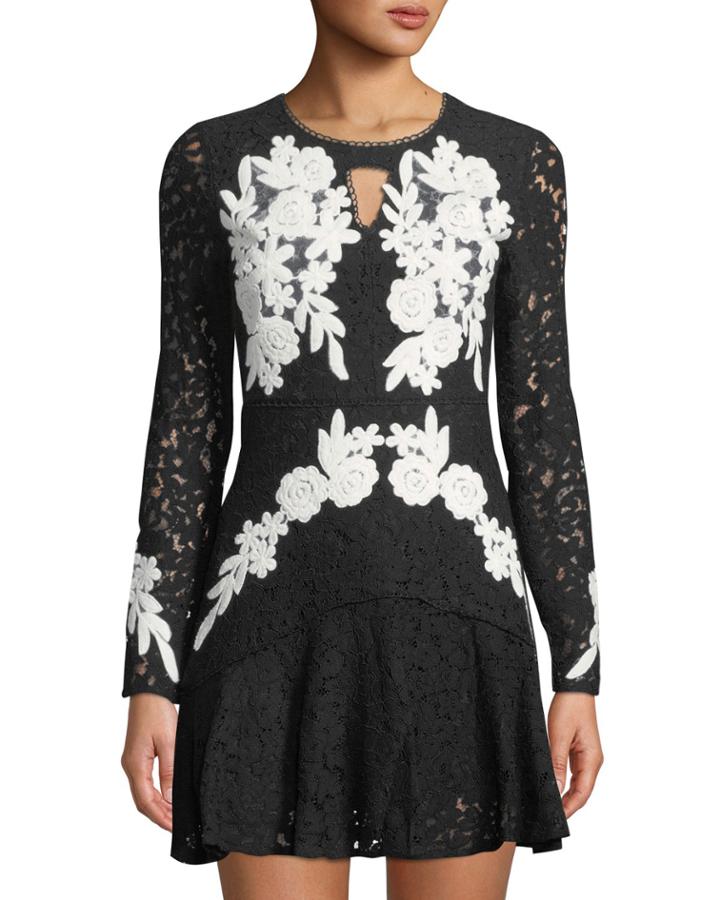 Contrast-lace Embroidered Fit & Flare Dress