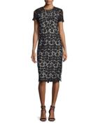 Short-sleeve Lace Midi Sheath Dress, Black/ivory