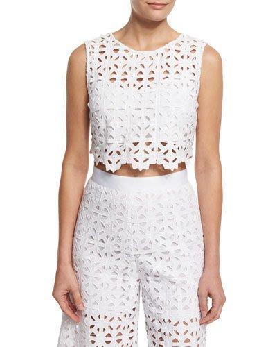 Ruby Crocheted-lace Crop Top
