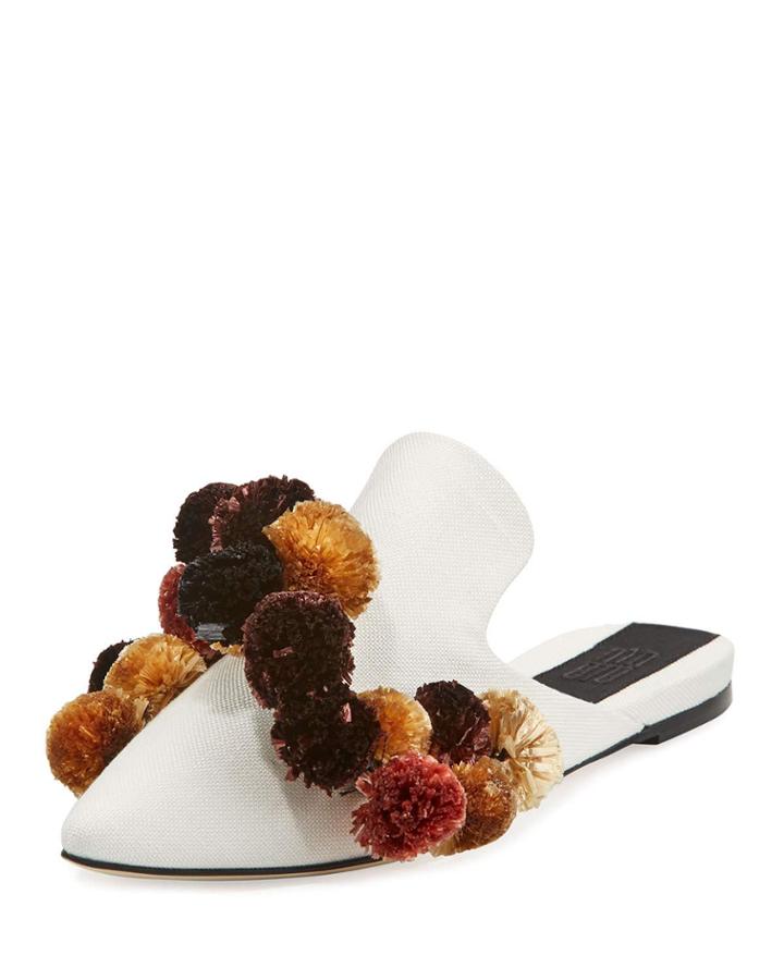Garofano Pompom