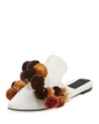 Garofano Pompom