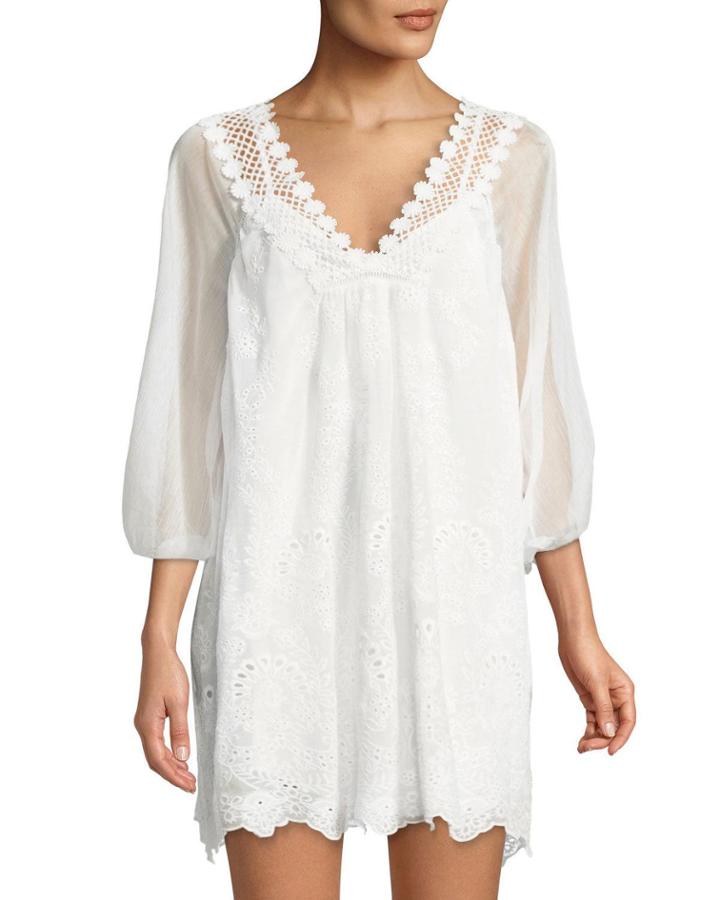 Eyelet Embroidered Chiffon